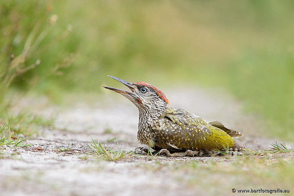 Holenbroeders, Bart Fotografie-433