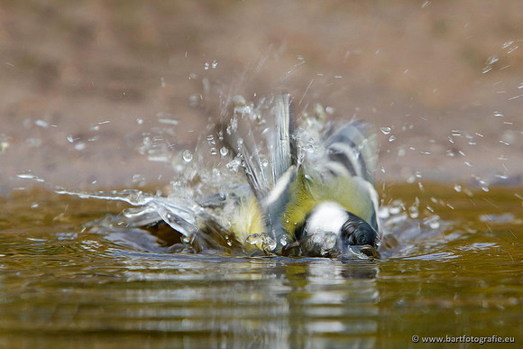 Mezen, Bart Fotografie-382