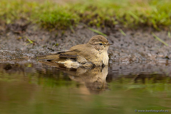Zangers, Bart Fotografie-065