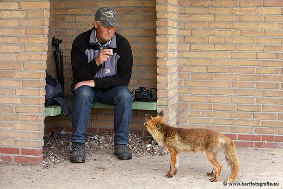 Cultuurdieren, Bart Fotografie-003
