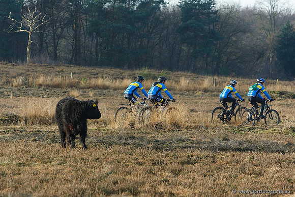 Cultuurdieren, Bart Fotografie-053