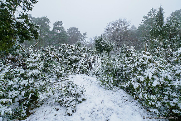 Winterwandelingen 2021, Bart Fotografie-003