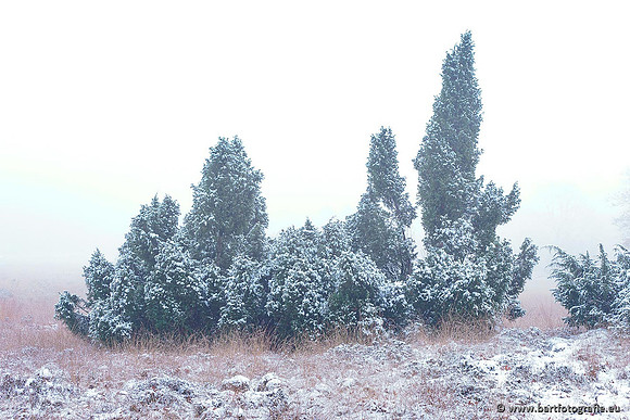 Winterwandelingen 2021, Bart Fotografie-011