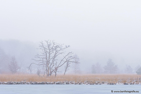 Winterwandelingen 2021, Bart Fotografie-014
