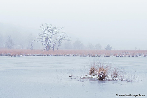 Winterwandelingen 2021, Bart Fotografie-015