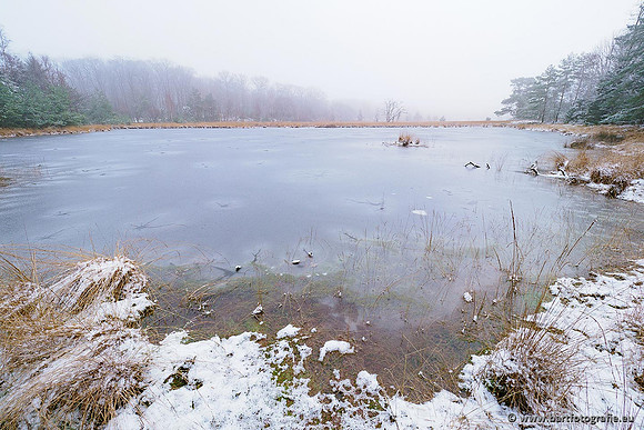 Winterwandelingen 2021, Bart Fotografie-017