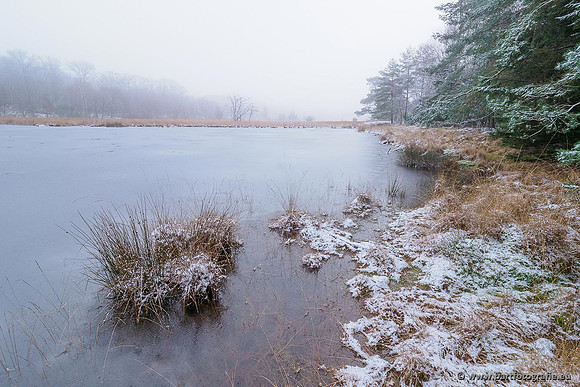 Winterwandelingen 2021, Bart Fotografie-018