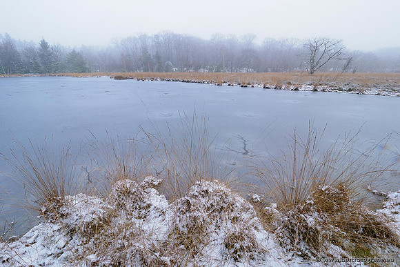 Winterwandelingen 2021, Bart Fotografie-019