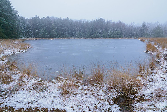 Winterwandelingen 2021, Bart Fotografie-021