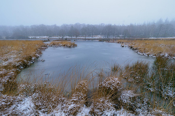 Winterwandelingen 2021, Bart Fotografie-022