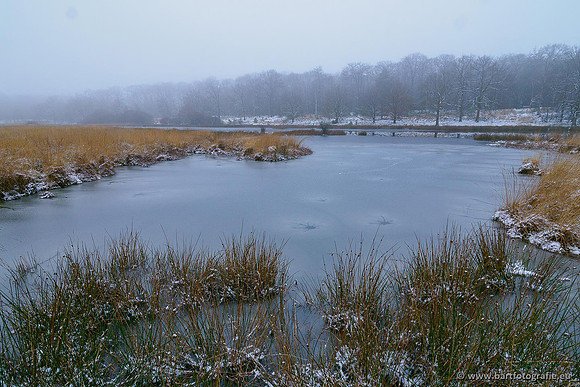 Winterwandelingen 2021, Bart Fotografie-023