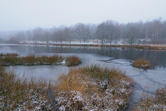 Winterwandelingen 2021, Bart Fotografie-024