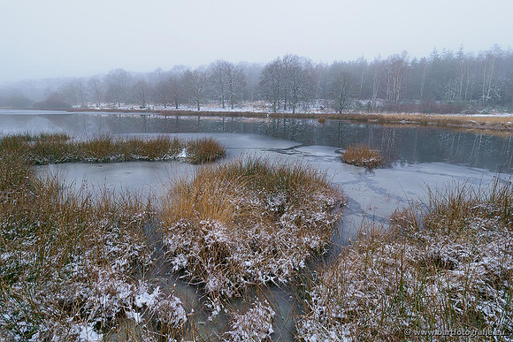 Winterwandelingen 2021, Bart Fotografie-025