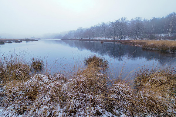 Winterwandelingen 2021, Bart Fotografie-027