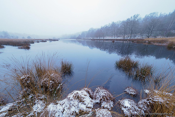 Winterwandelingen 2021, Bart Fotografie-028