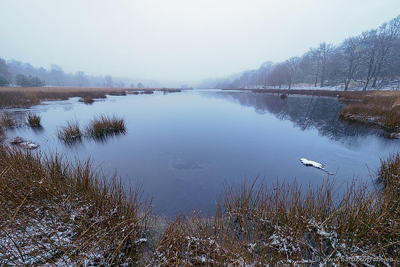 Winterwandelingen 2021, Bart Fotografie-029