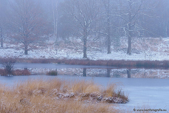 Winterwandelingen 2021, Bart Fotografie-030