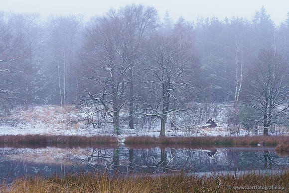 Winterwandelingen 2021, Bart Fotografie-031