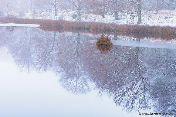 Winterwandelingen 2021, Bart Fotografie-033