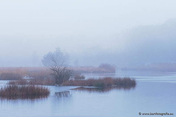 Winterwandelingen 2021, Bart Fotografie-034