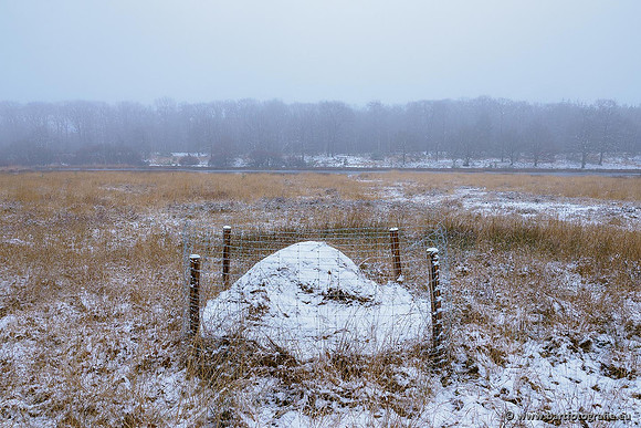 Winterwandelingen 2021, Bart Fotografie-035