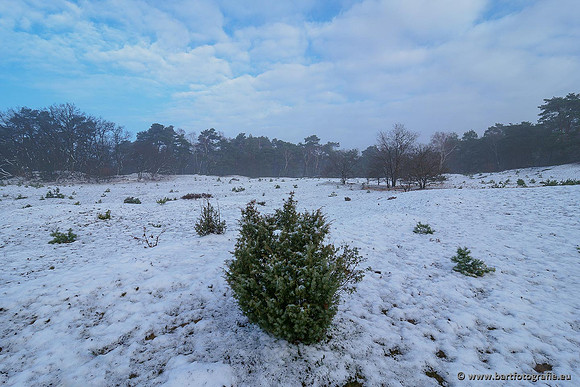 Winterwandelingen 2021, Bart Fotografie-036