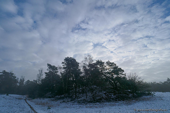 Winterwandelingen 2021, Bart Fotografie-037