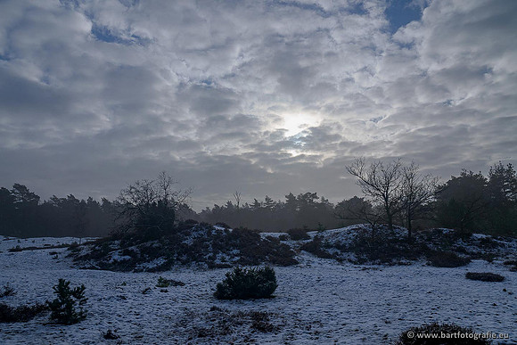 Winterwandelingen 2021, Bart Fotografie-039