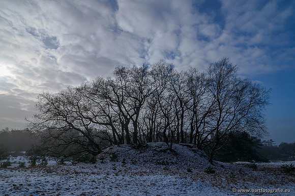 Winterwandelingen 2021, Bart Fotografie-040