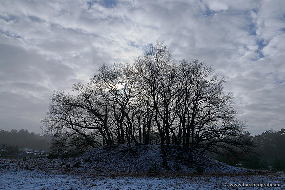 Winterwandelingen 2021, Bart Fotografie-041
