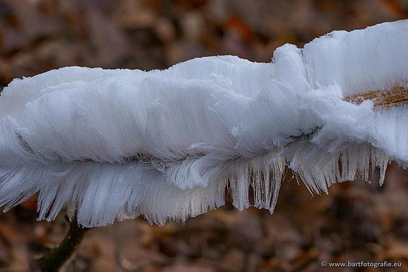 Winterwandelingen 2021, Bart Fotografie-050