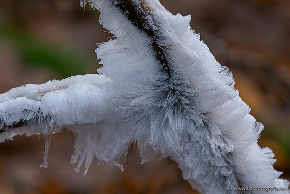 Winterwandelingen 2021, Bart Fotografie-052