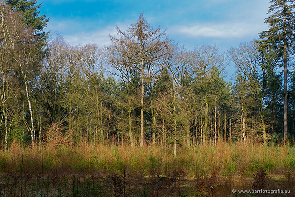 Winterwandelingen 2021, Bart Fotografie-054