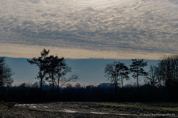 Winterwandelingen 2021, Bart Fotografie-059