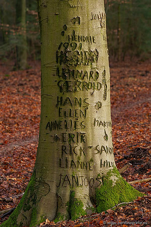 Winterwandelingen 2021, Bart Fotografie-067