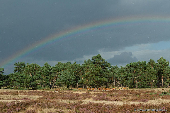 Luchten, Bart Fotografie-038