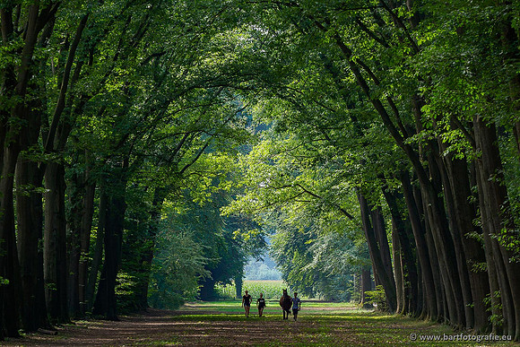 Achterhoek augustus 2020 Bart Fotografie-059