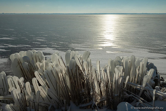 Winteralbum 2021-003