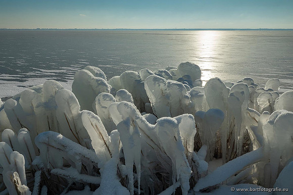 Winteralbum 2021-005