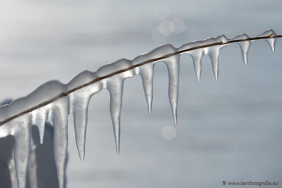 Winteralbum 2021-026