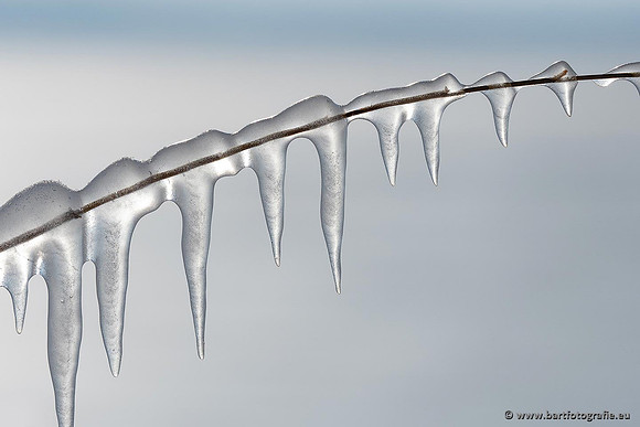 Winteralbum 2021-027