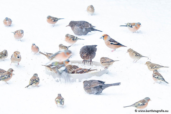 Winteralbum 2021-056