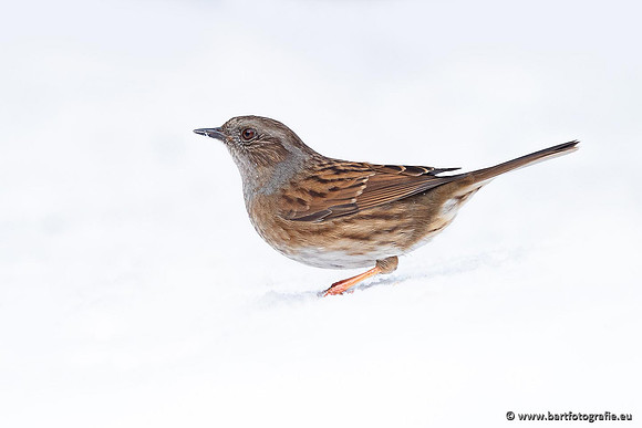 Winteralbum 2021-057