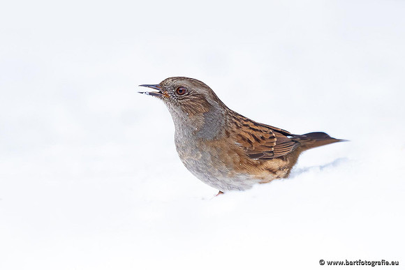 Winteralbum 2021-058