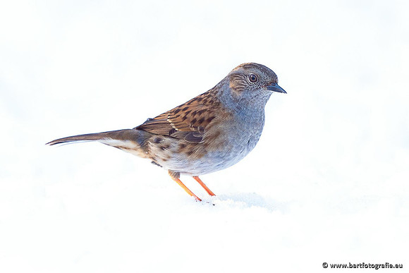 Winteralbum 2021-059