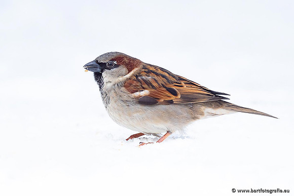 Winteralbum 2021-064