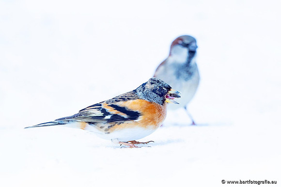 Winteralbum 2021-068