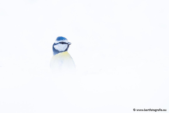 Winteralbum 2021-080