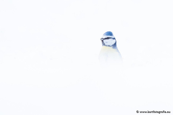 Winteralbum 2021-081