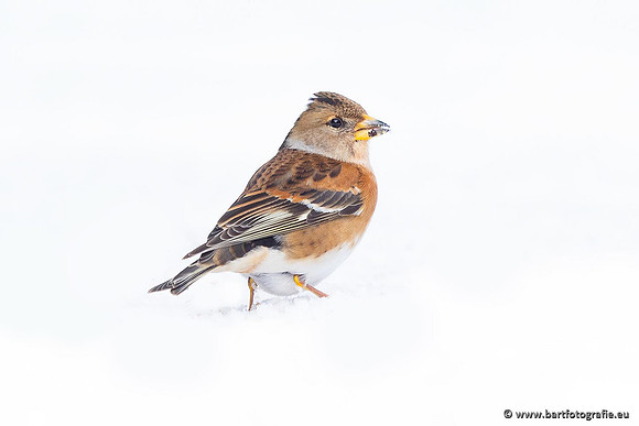 Winteralbum 2021-084